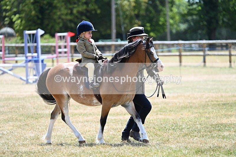 WJ7_2672 - Class 6 Ridden Mountain and Moorland
