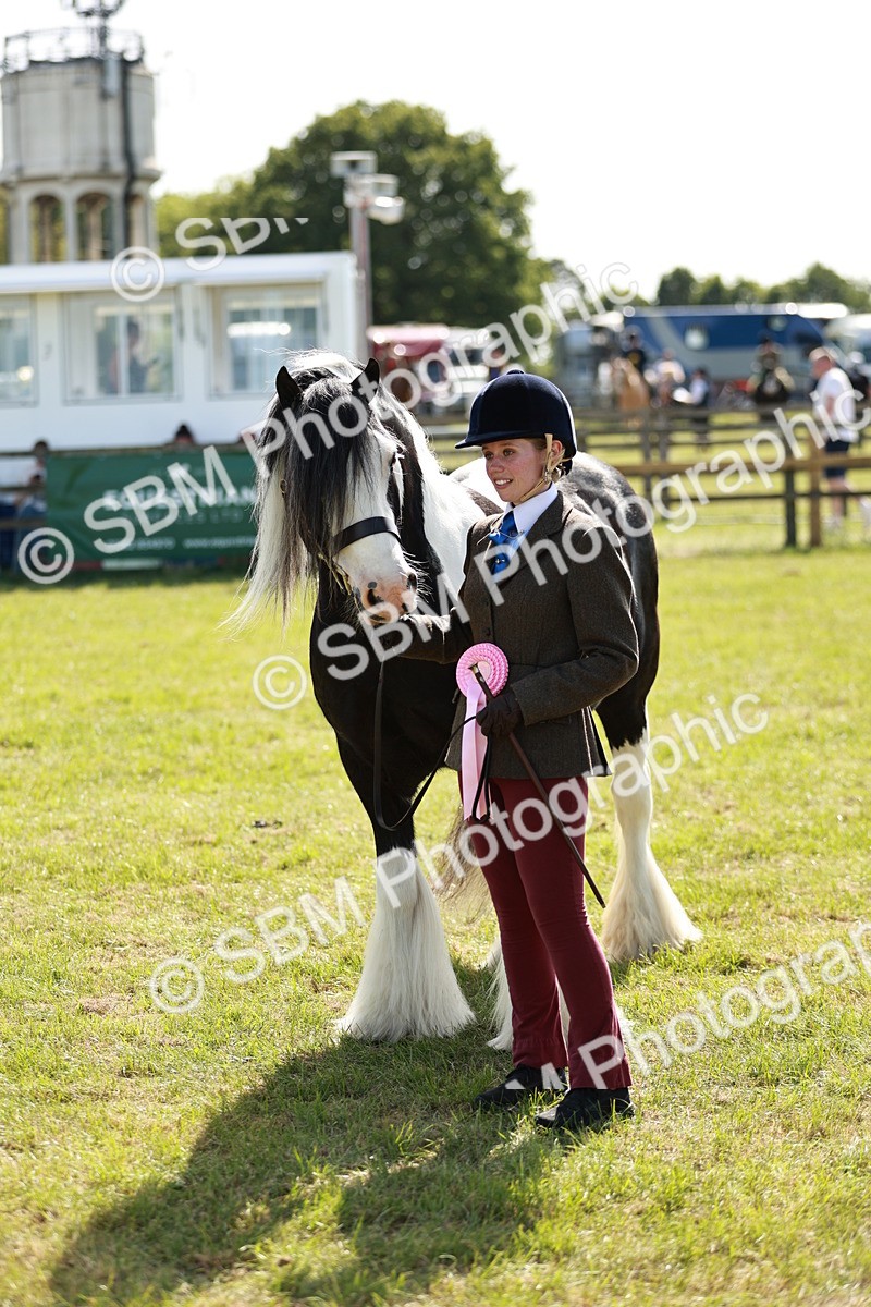 SBM_08938 - Class 63-65 - Traditional Gypsy Cobs In Hand & Ridden