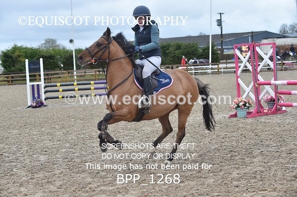 BPP_1268 - CLASS 4 Club/ Unaffiliated 80cms Open