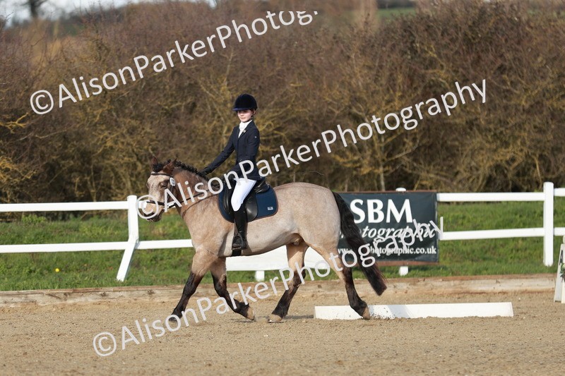 20260314-5374 - DR4 - Prelim 2