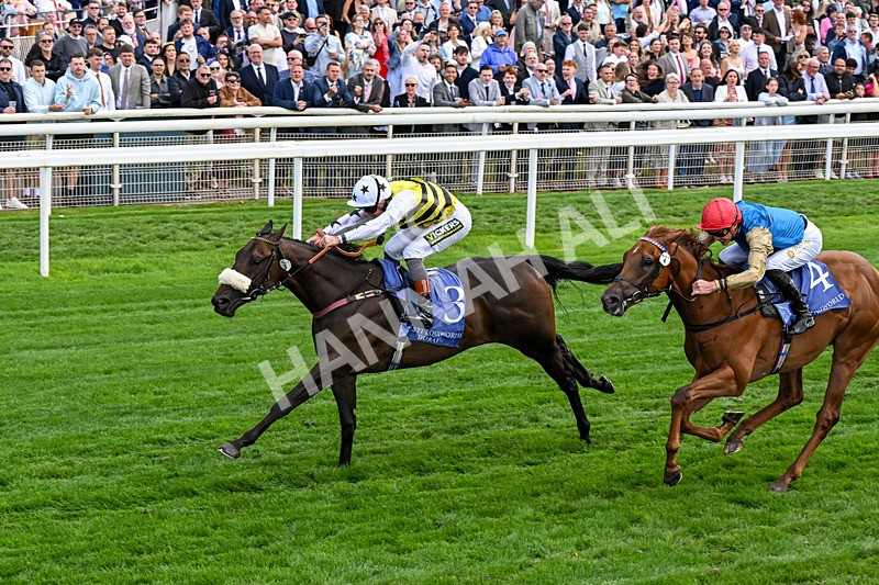 210826-Race 3-Arapaho Gold-0203 - Race 3 15.00pm Al Basti Equiworld Dubai Gimcrack Stakes