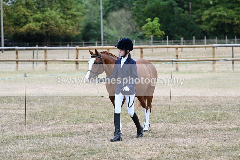 WJ7_7994 - Class 4 Prettiest Mare up to 14.2hh