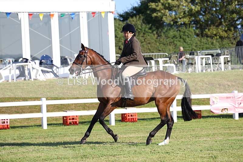 3E7A5007 - Class 1: Rising Star Small Hack/Riding Horses