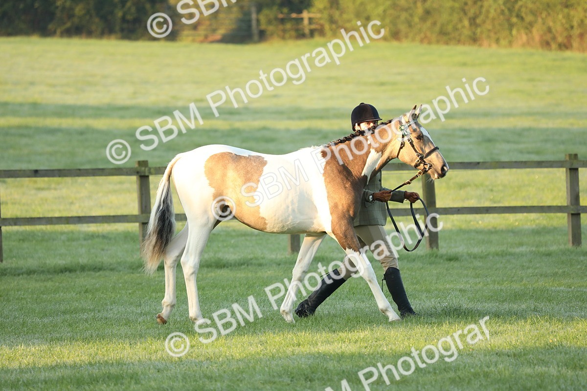 SBM_57770 - S42 - Youngstock