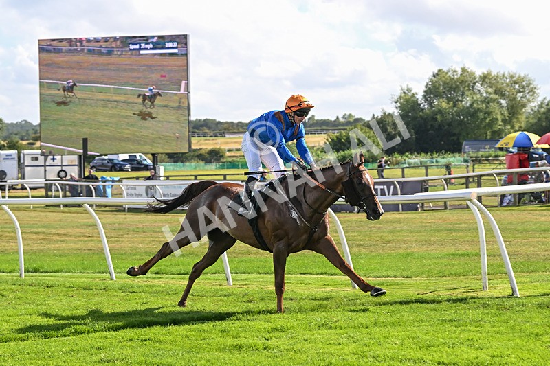 270825-Race 4-Bollin Neil-6343 - Race 4