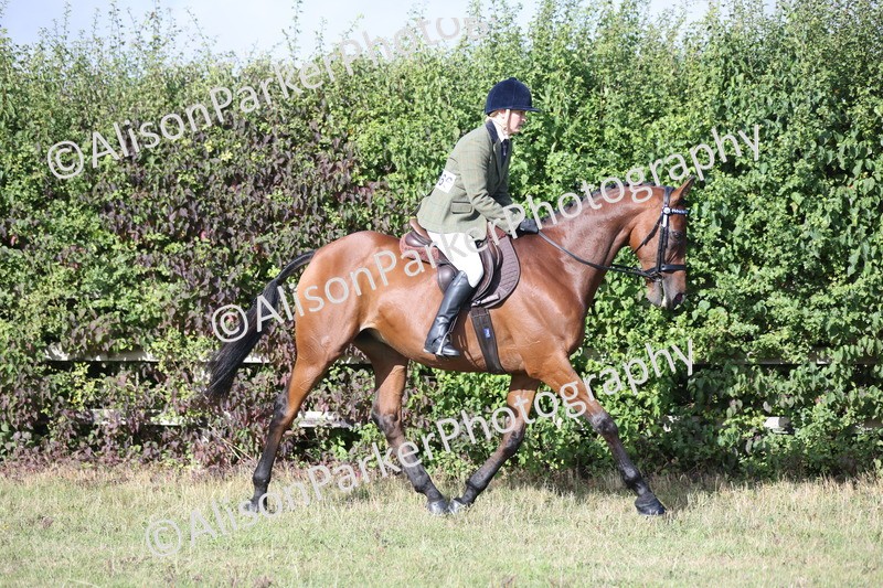 20250831-0842 - Class 14 - Ex Racehorse