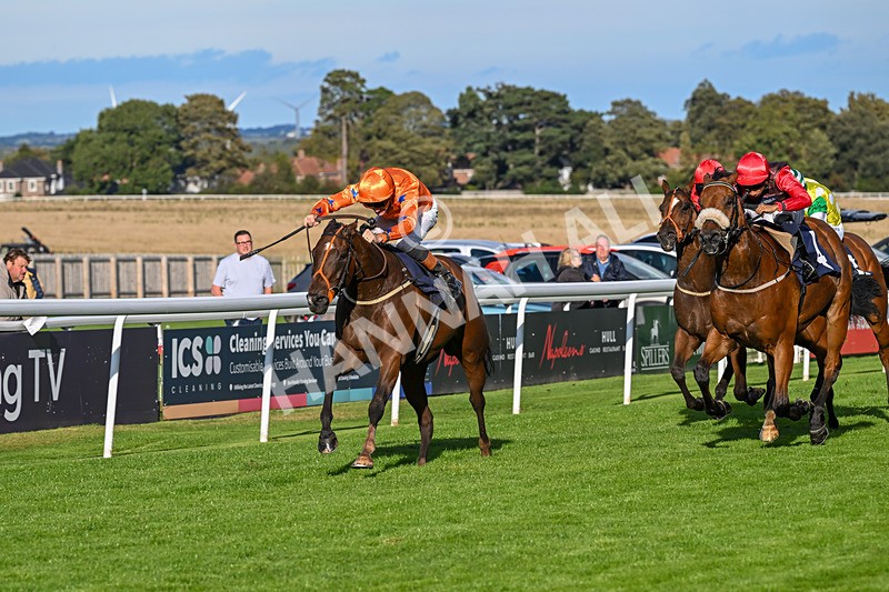 170925-Race 6-Elegant Erin-5788 - Race 6