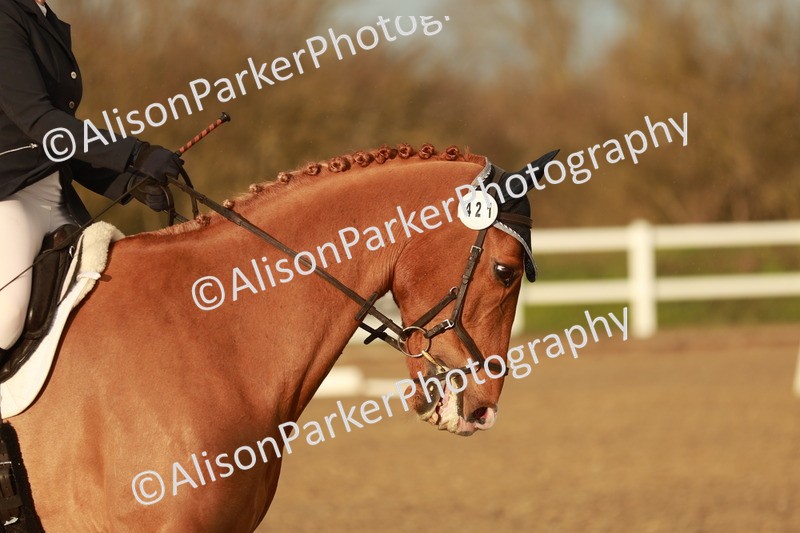 20260314-6473 - CT7 - Elementary 2