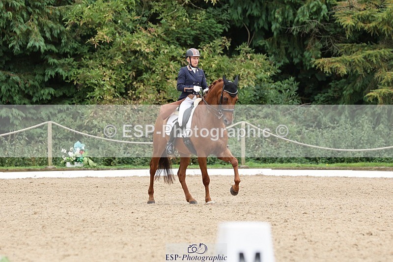 240810-161317-04346 - 219-Alice.Peternell-Insanity