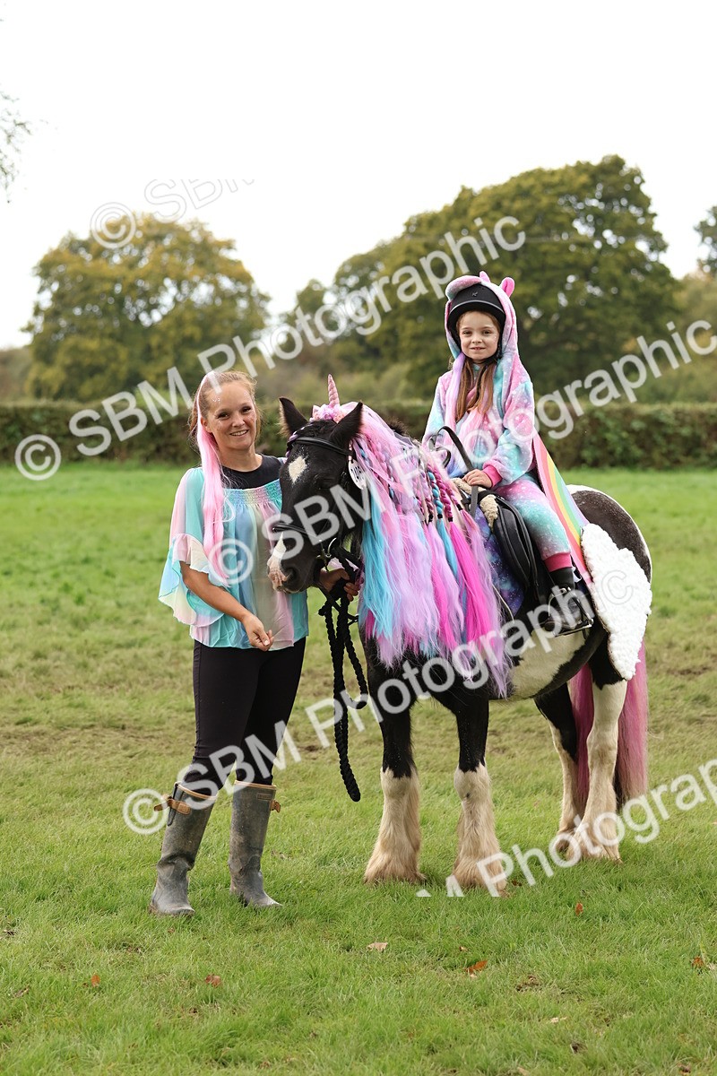 SBM_62176 - S37b - Best Unicorn