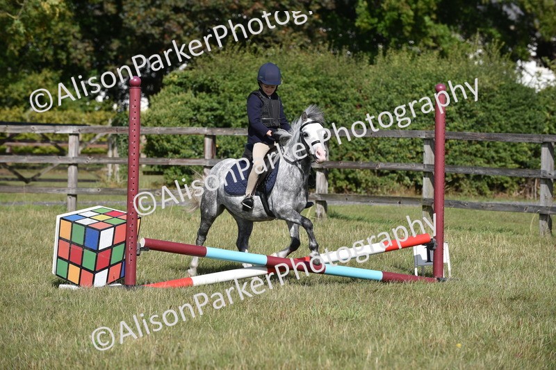 20250831-0450 - Class 7 - Absolute Novice 35cm