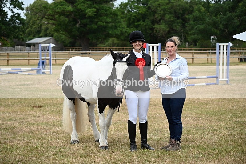 WJ6_4438 - Class 10 Coloured In-hand
