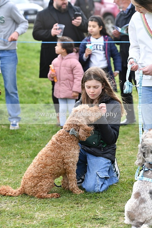 WJ5_0151 - Class 5 Best Veteran / 7 years & over