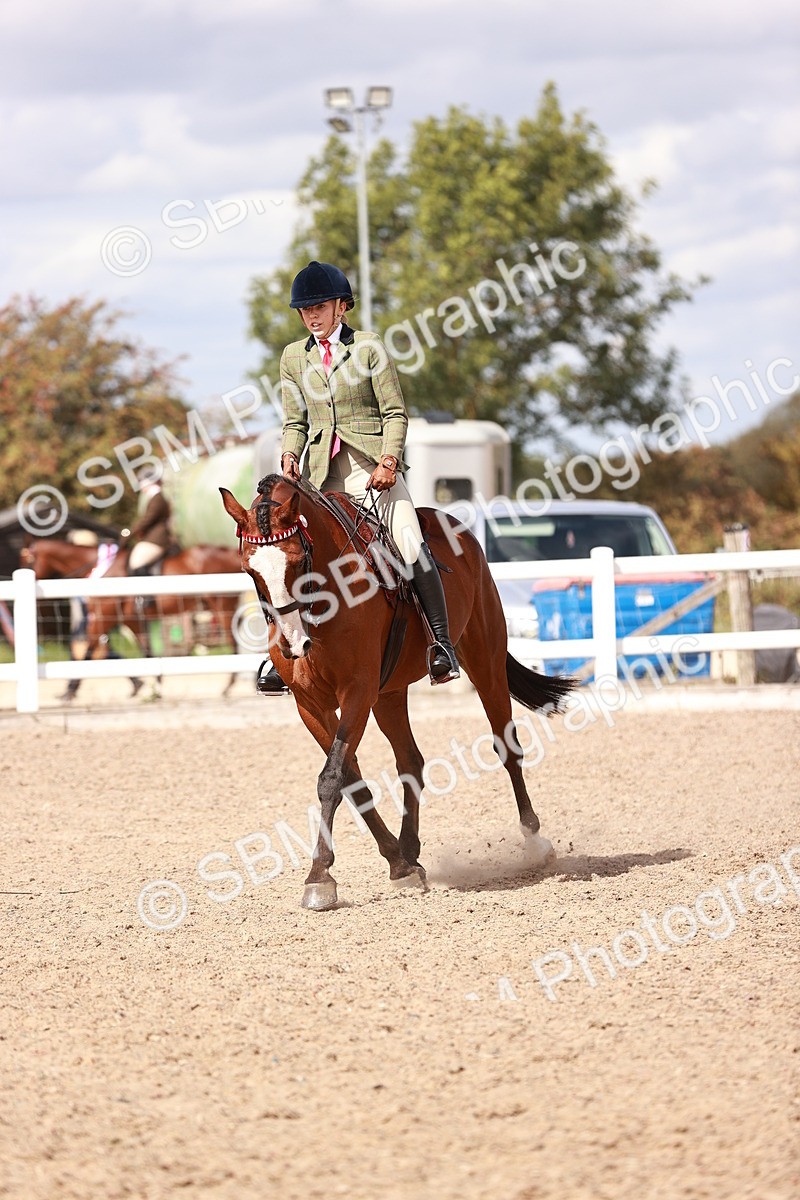 SBM_14443 - Class 410 - Grassroots Ridden - Horse