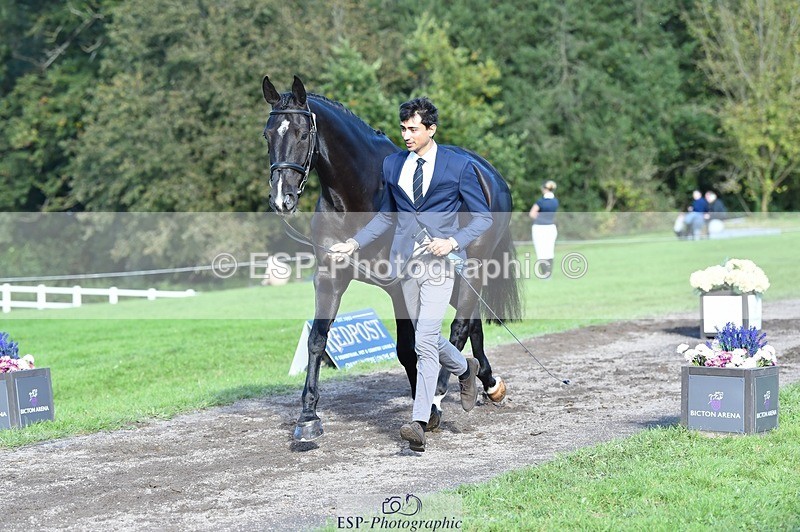 231022-111808-23875 - 560-TIMEPEICE.BLUE-Giorgio.Nardilli-TrotUp+SJ