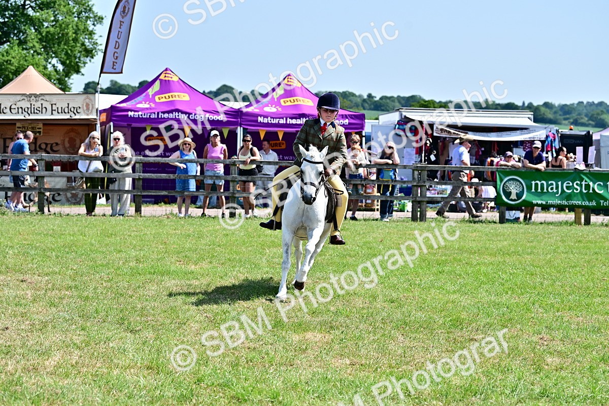 SBM_13960 - Class 95-97 - BSPS LHS Performance Ponies