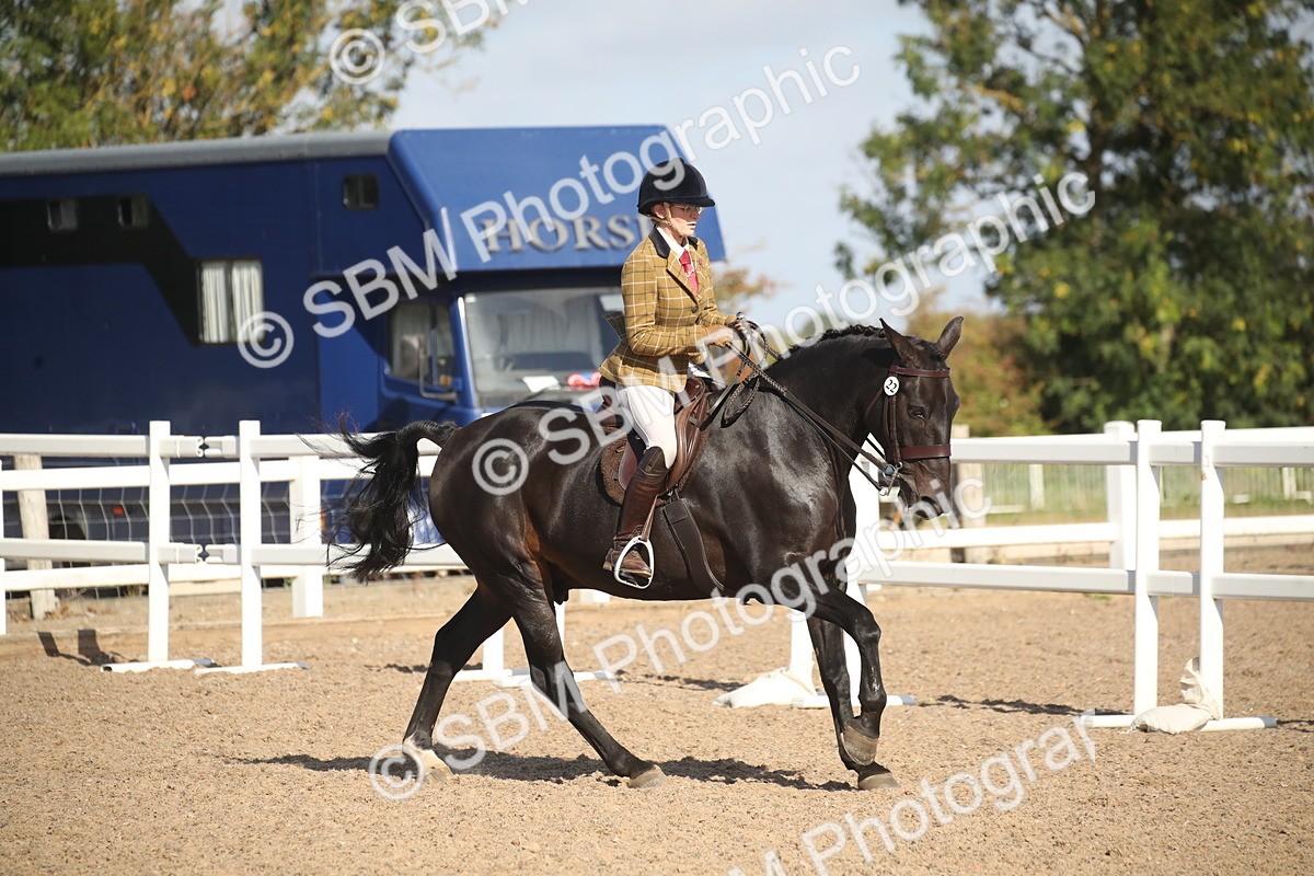 SBM_22772 - Class 602 - 2026 Area - Ridden Veteran