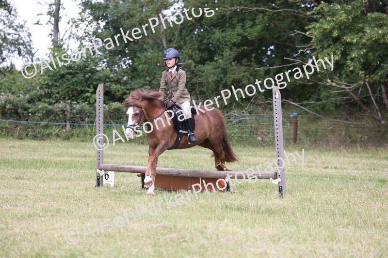 20260614-2079 - Class 21 - Novice Working Hunter Pony