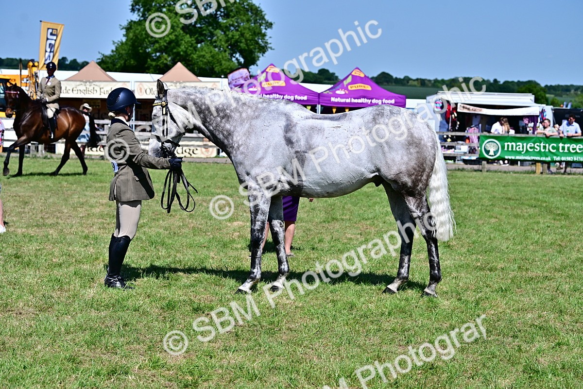 SBM_18226 - Class 99-100 - Retraining of Racehorses Ridden