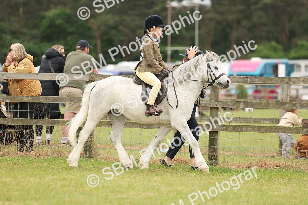 SBM_06740 - Class 74-75 - M&M Lead Rein and First Ridden Pony