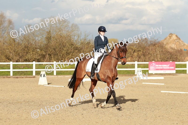 20260314-6291 - CT7 - Elementary 2