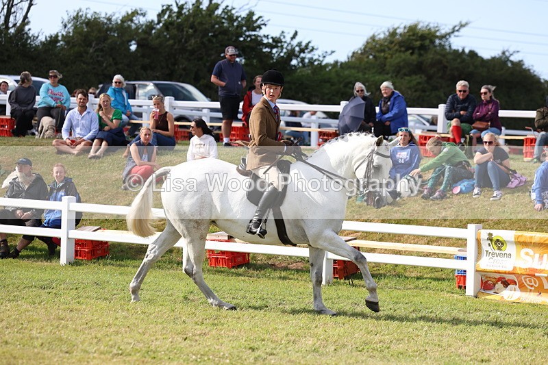 3E7A3872 - Supreme Championship