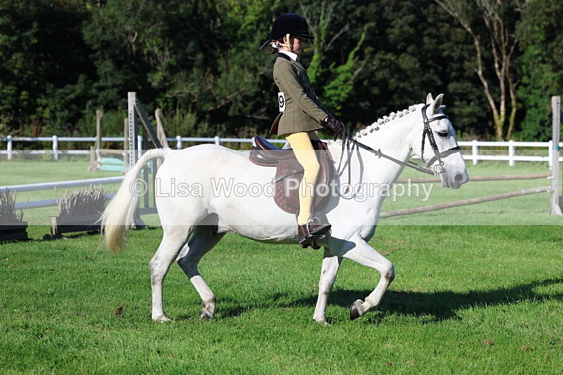 3E7A7648 - Class 1: Novice Working Hunter Pony