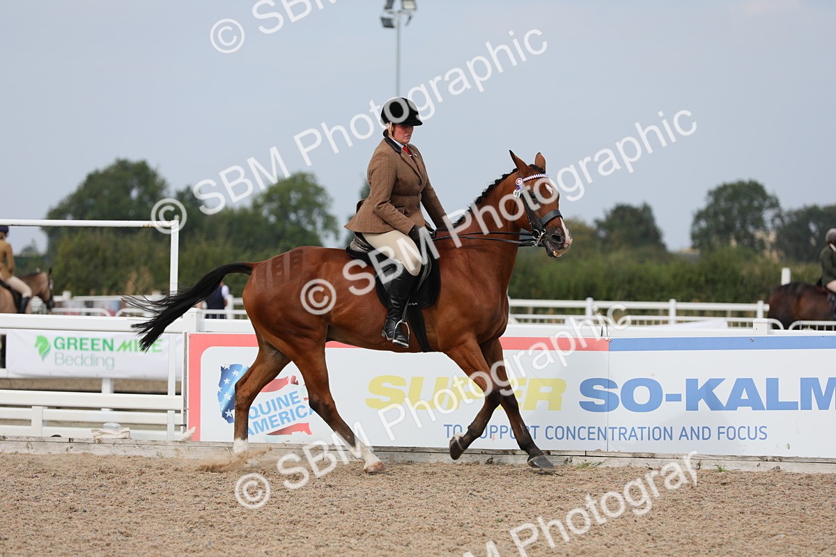 SBM_16961 - Class 314 Family Horse/Pony