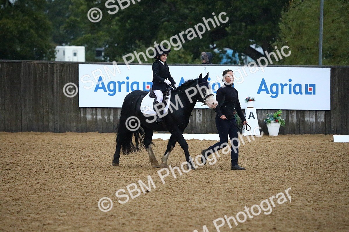 SBM_34656 - D26 - Starters Lead Rein