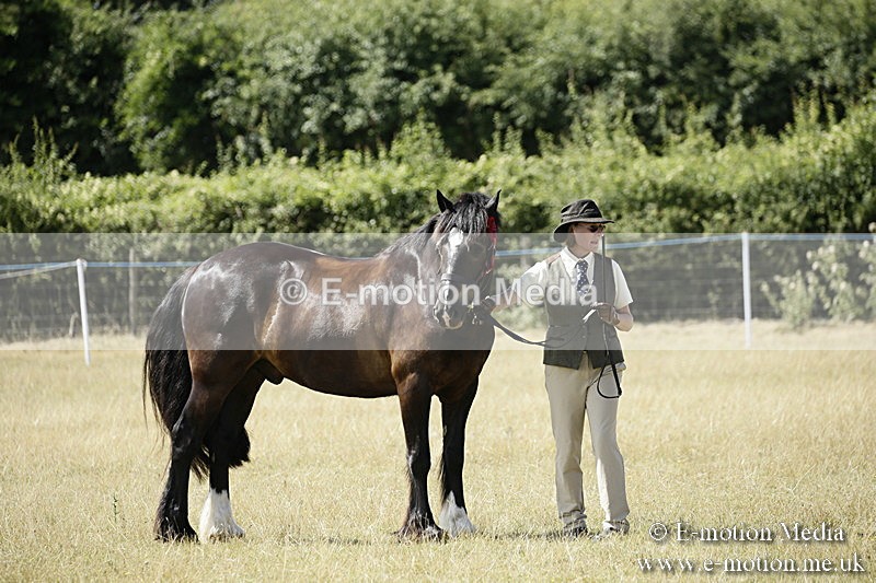 _EP59144 - Roving Camera BVRC Show 2018