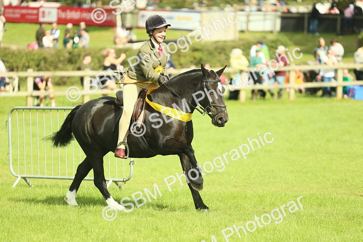 SBM_44844 - S31 - Working Hunter Pony