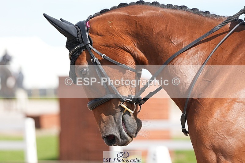 250906-133408-03656 - 066-Alice.KneenSpringtime.Marvel