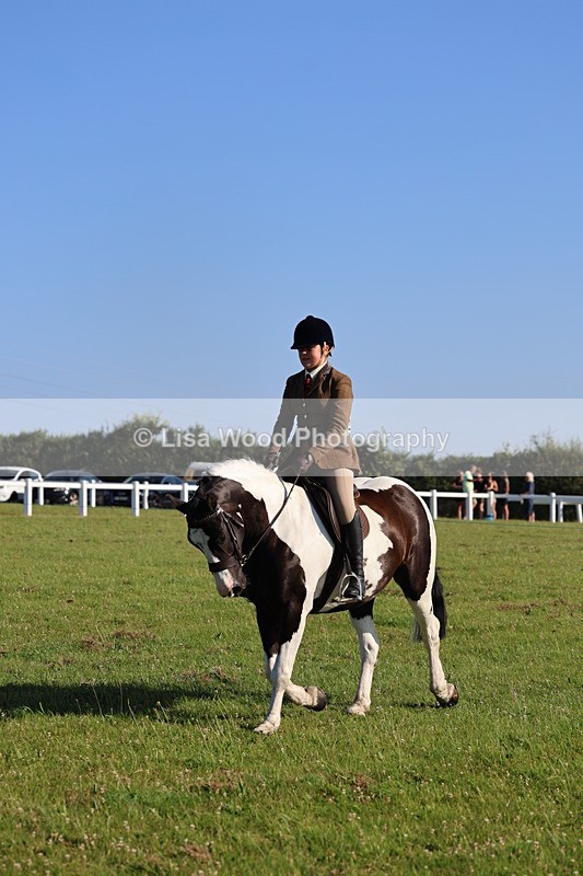 IMG_1388 - Class 28: Ridden Plaited Coloured Pony