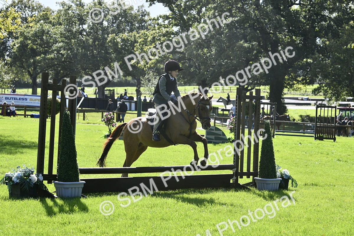 SBM_38177 - S31 - Novice & Newcomer Working Hunter Pony