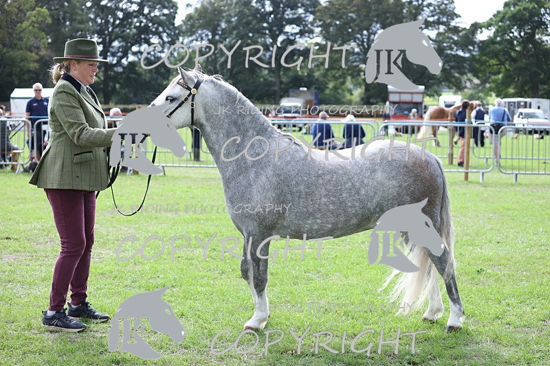 APP_2947 - Class 10a/b M&M in hand