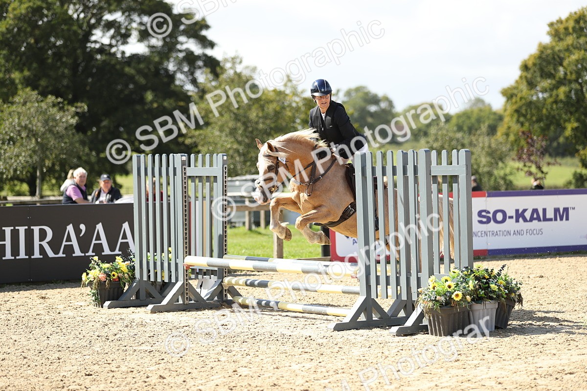 SBM_05596 - J35 - Veteran Rider 60cm