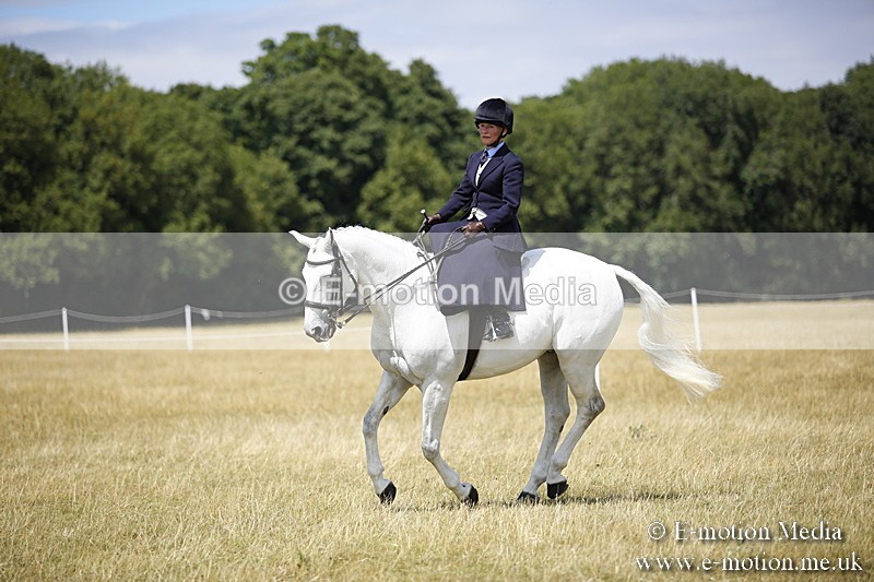 _C7A0243 - Side Saddle Classes BVRC Show 2018