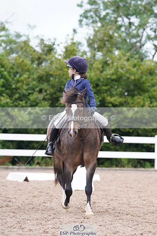 240809A-095512-00364 - Dressage Competition