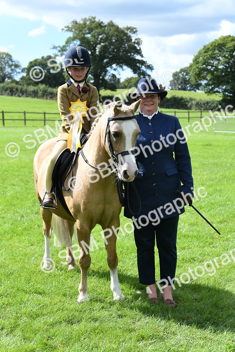 SBM_41271 - S19 - Lead Rein Show & Show Hunter Pony