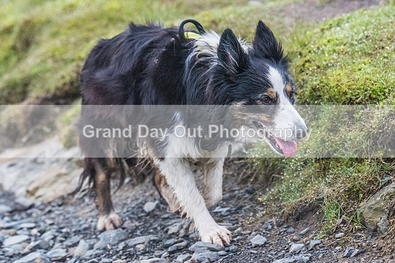 Belt Up Blencathra-4 - Kong Belt Up Blencathra Wednesday 8th June 2022
