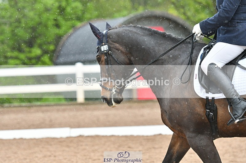 230511A-135038-00852 - BD Cls 13 Adv Medium 91