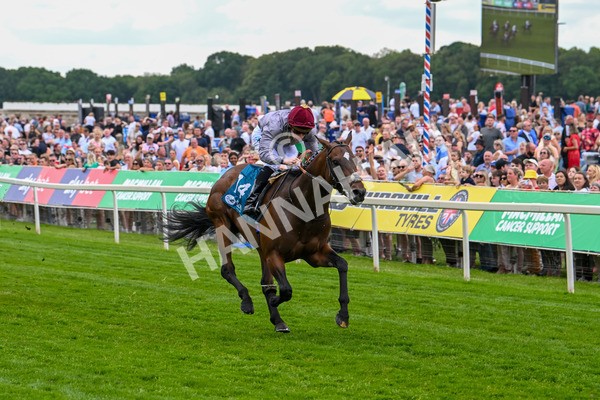 140625-Race 1-Humam-1947 - Race 1 1.50pm Doug Johnston Memorial Ubettabelieveit Macmillan Handicap