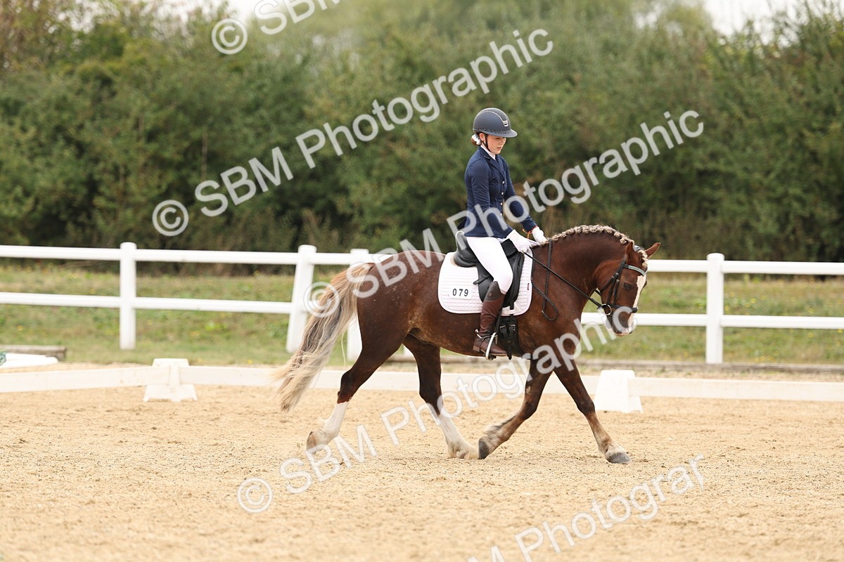SBM_01047 - Class 8 - Novice 27 Champs
