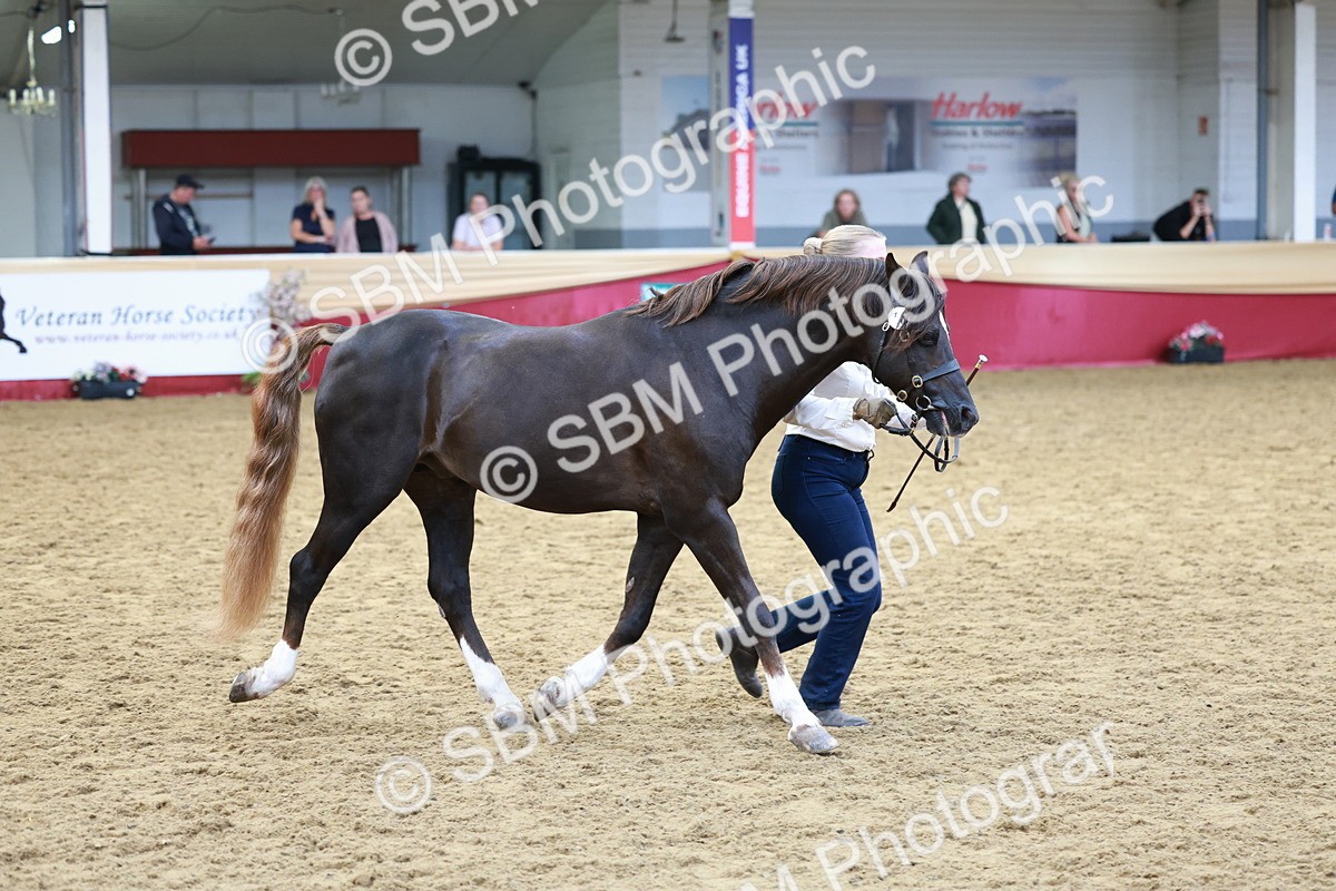 SBM_17514 - Class 951 - M&M IH Supreme Final