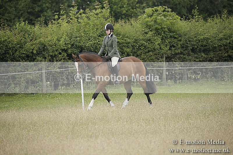 B230619-0301 - Bourne Valley Riding Club Summer Show 23/06/19
