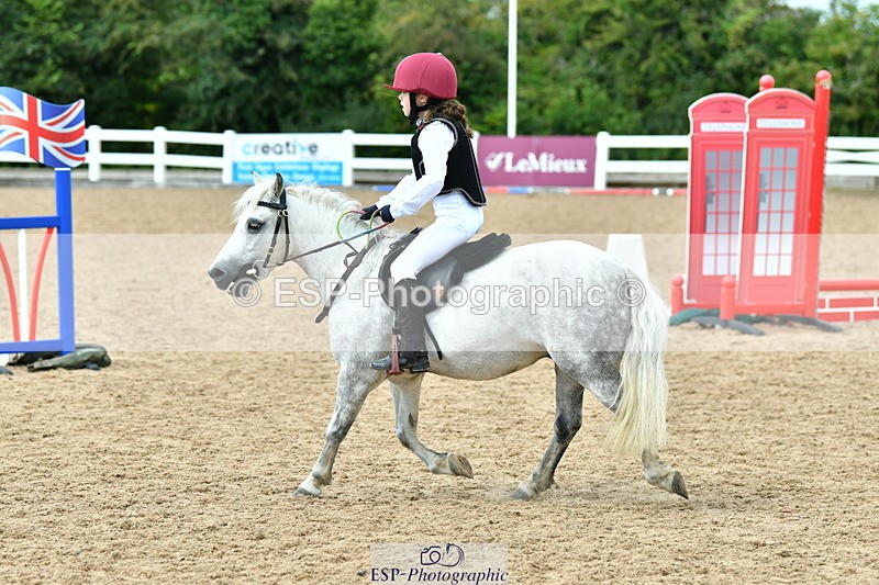230804A-112723-02253 - Showjumping Competition