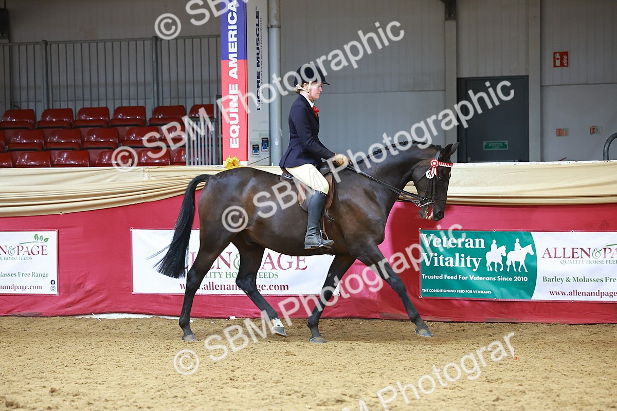 SBM_10499 - Class 103 - HOYS Veteran Qualifier - Ridden Pre Vet