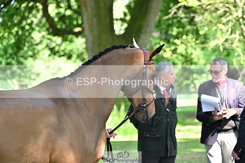 250521A-154641-00754 - B-364-Yasmin.Ingham-KINDA.CORVETTE