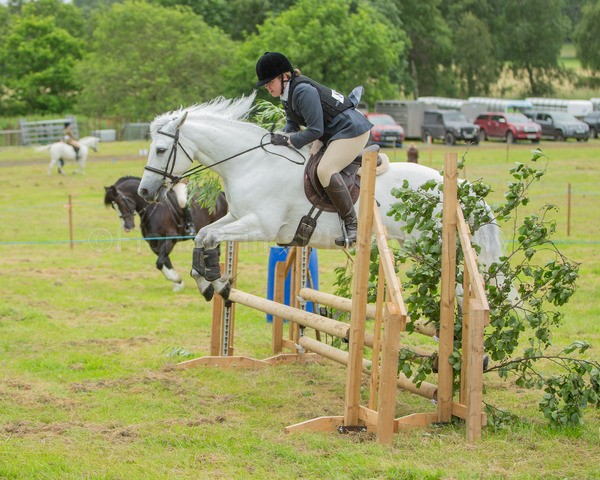 Dunblane show-408 - Dunblane and Doune Show Ring 1