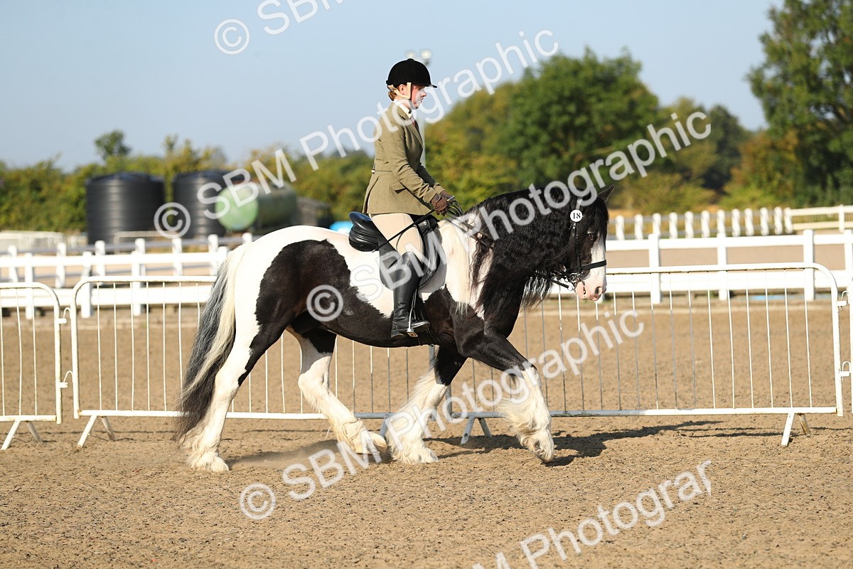 SBM_01114 - Class 42 Ridden Veteran